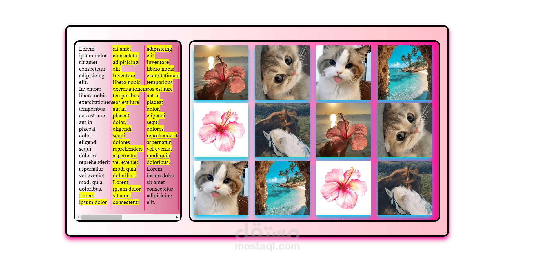 Dynamic Webpage with Highlighted Text and Image Gallery