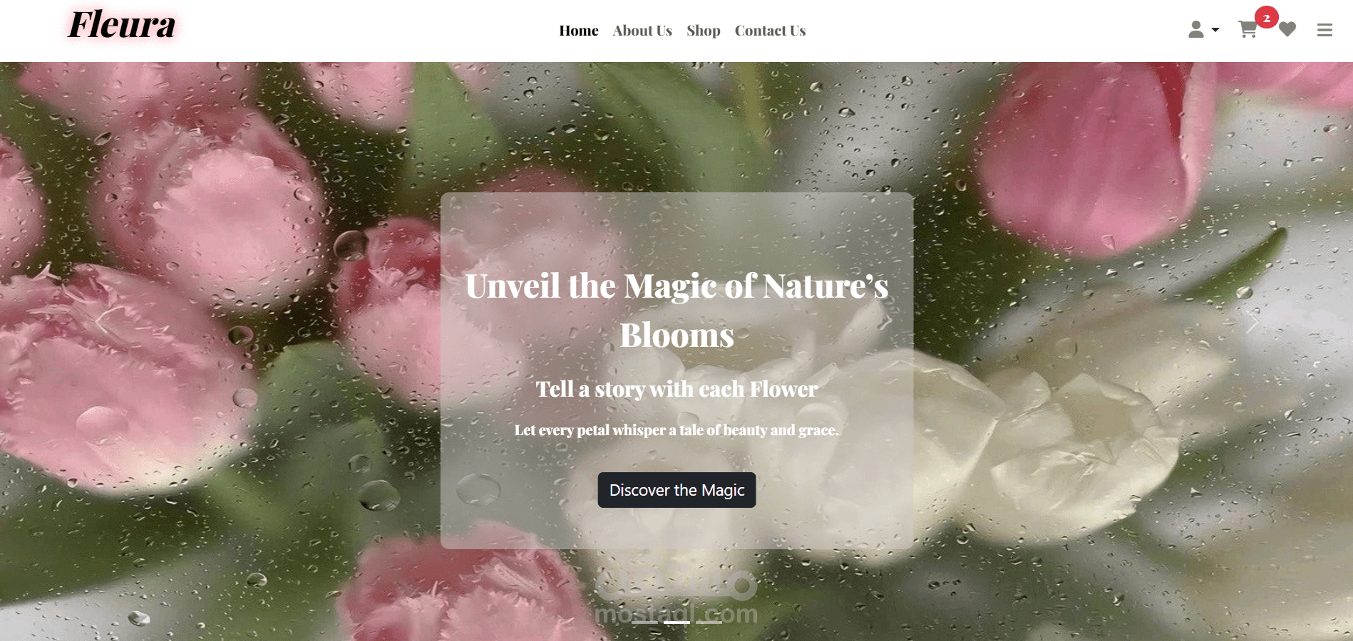 ecommerce website