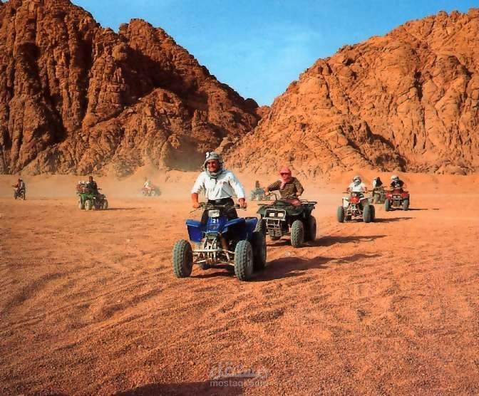 sharm safari tours