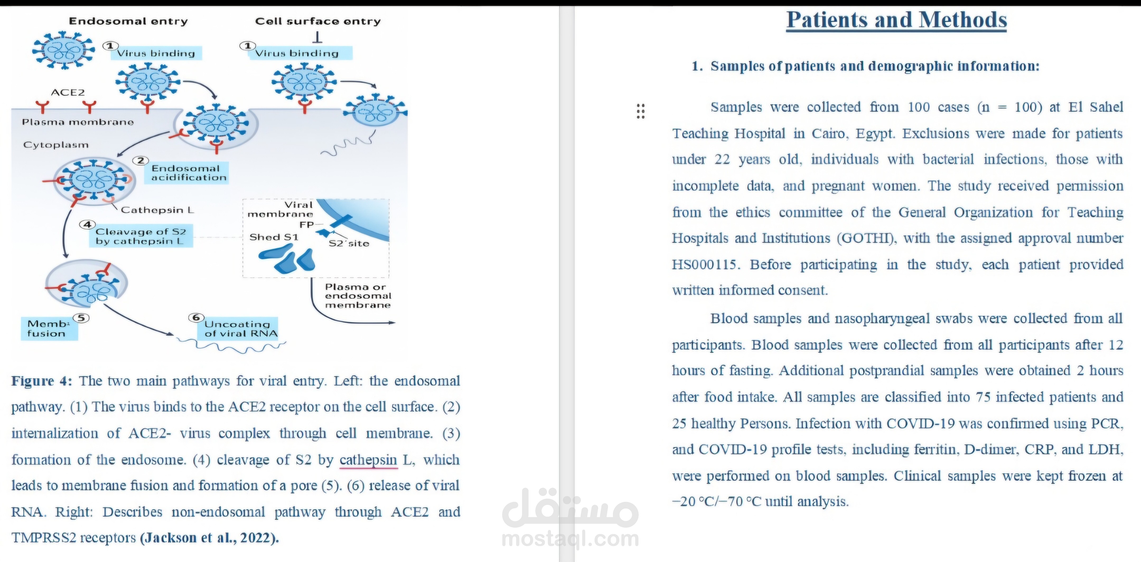 كتابة  رسائل علمية