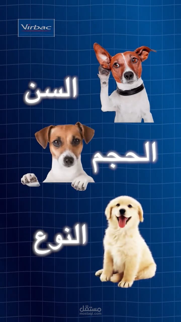 فيديو محتوى Pets