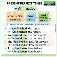 Since - for - present perfect tense - STEP -  grammar