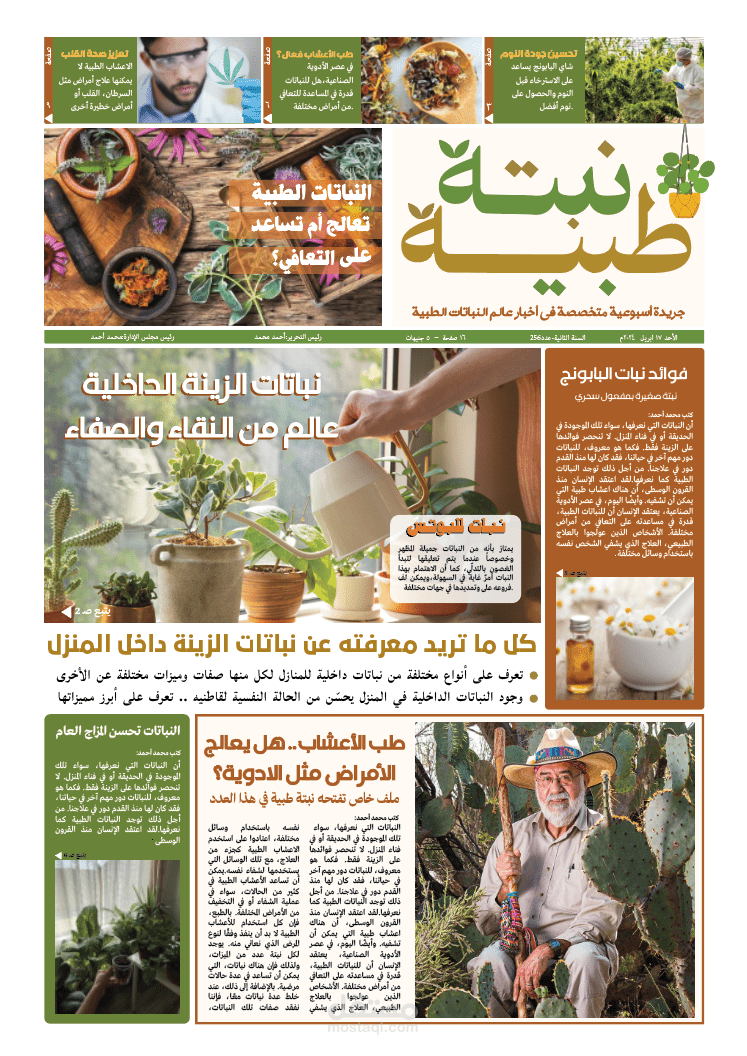 تصميم الصفحة الأولى لجريدة أسبوعية