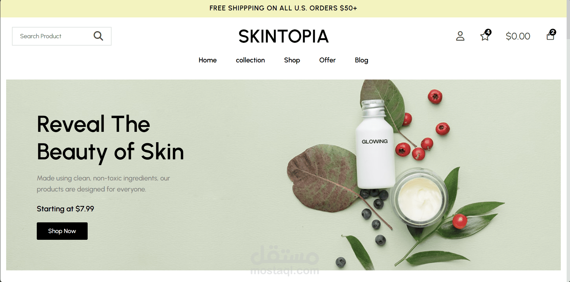 modern Ecommerce website