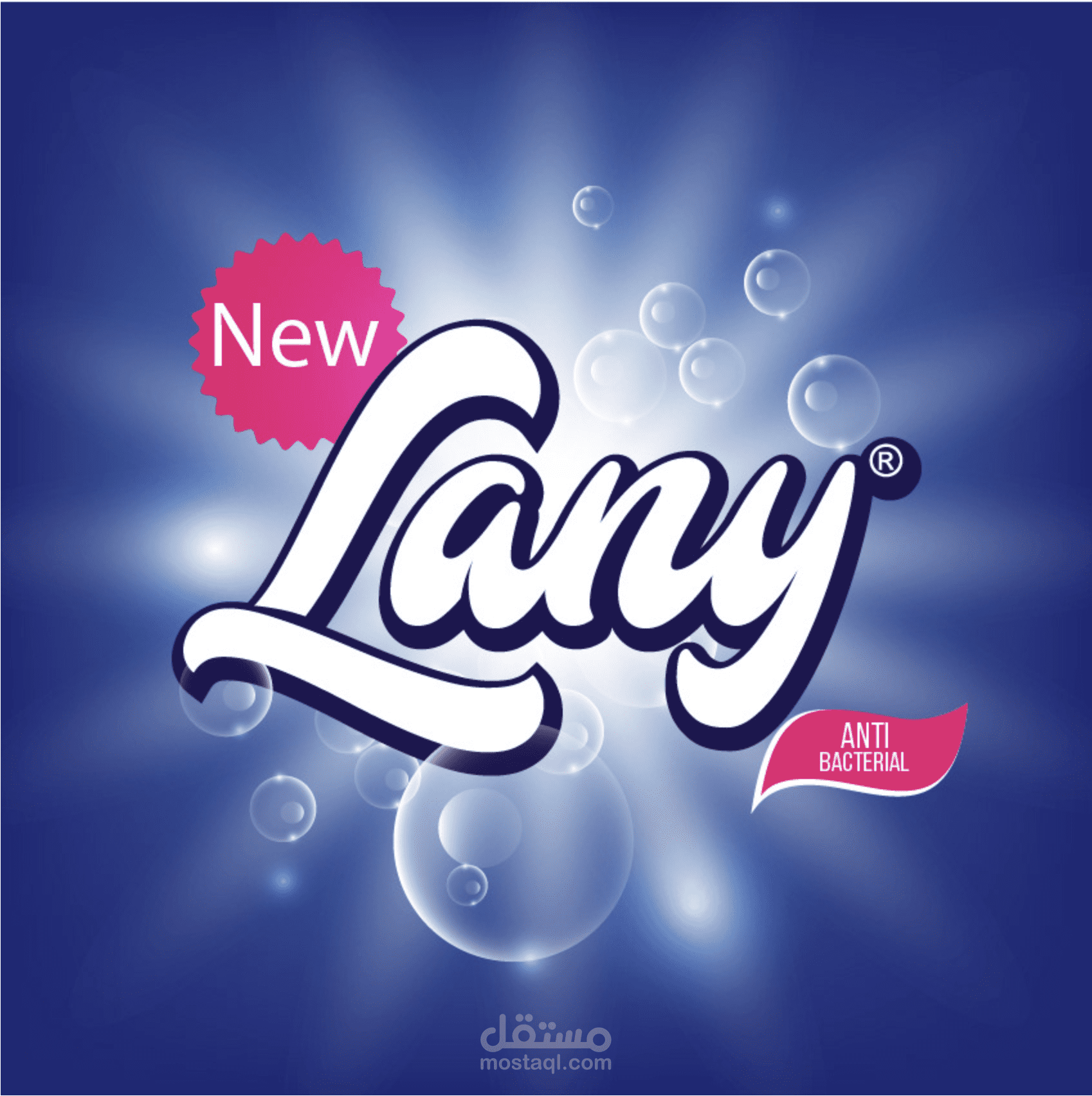 شركة للمنظفات السائلةLANY