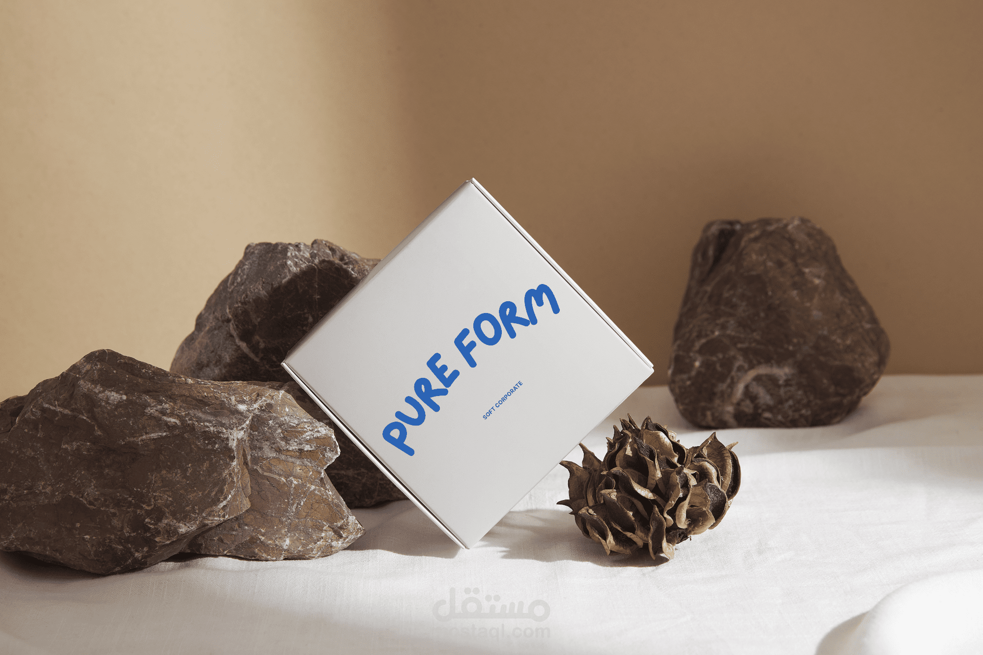 Comprehensive Visual Identity & Branding for (Pure Form) Premium Fashion  brand