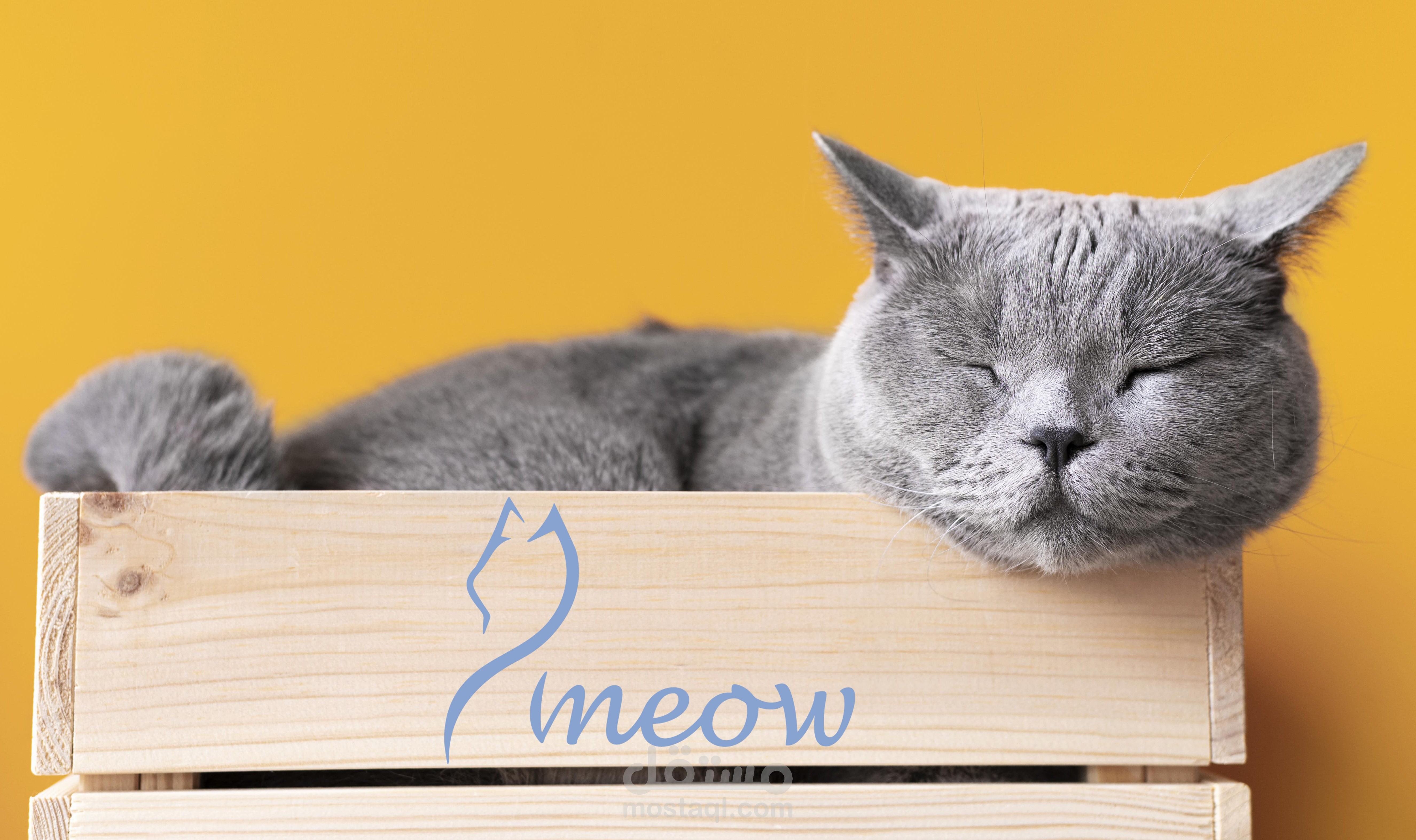 *meow*تصميم لمتجر قطط