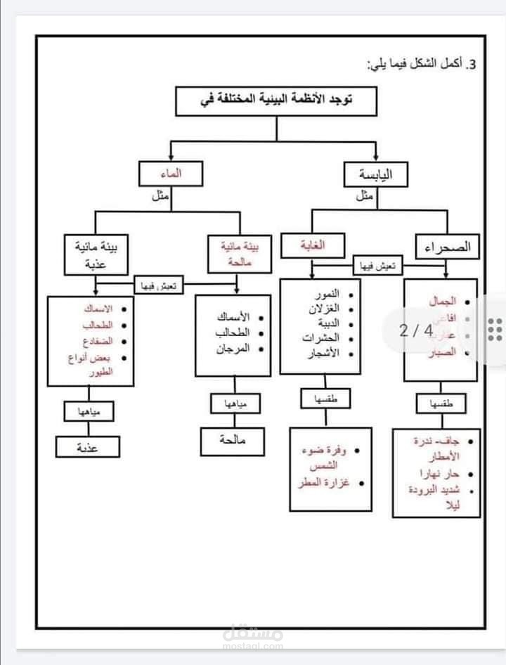 نماذج امتحانات