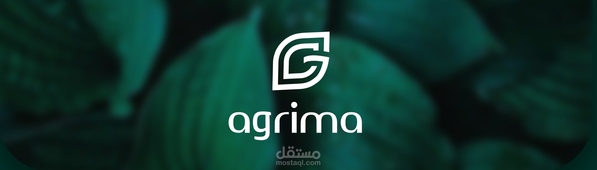تصميم شعار + هوية بصرية + مطبوعات