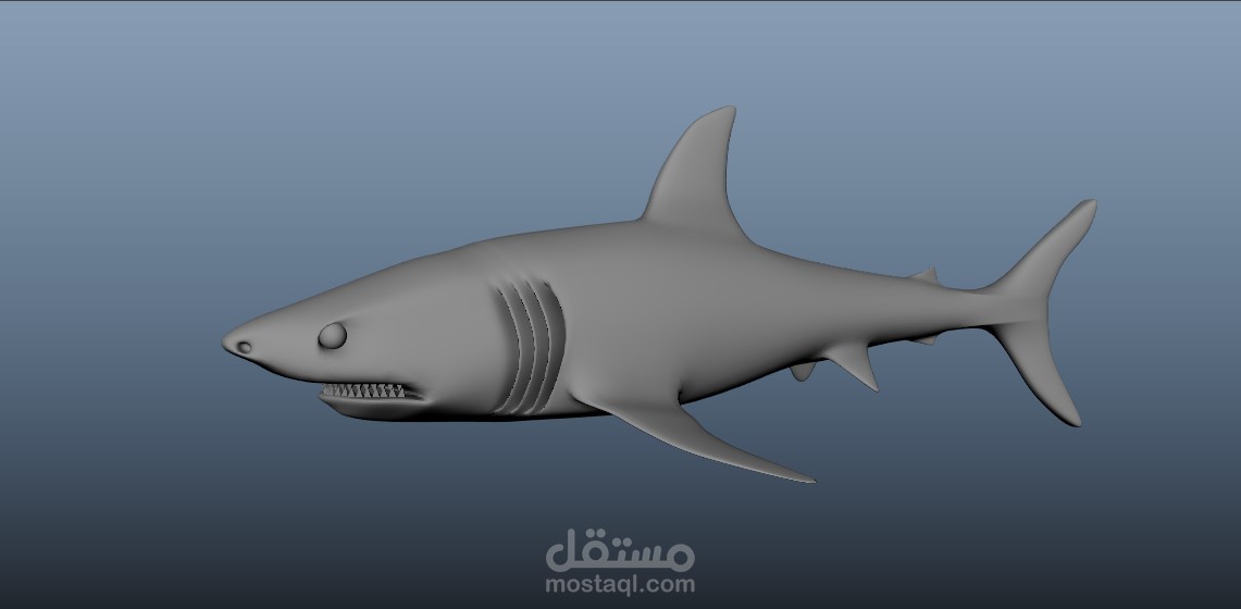 3D Shark Model