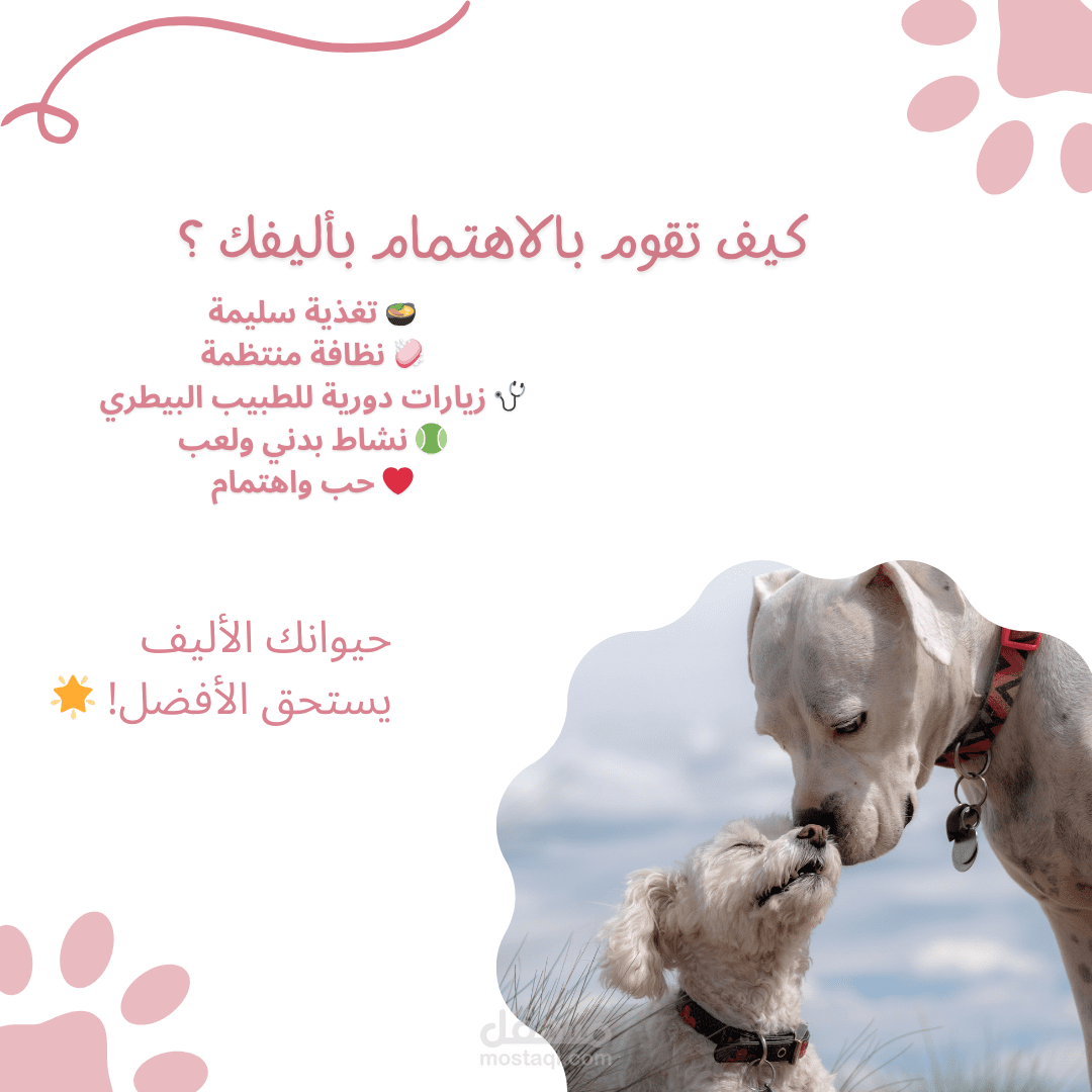 بوست لمتجر بيع حيوانات اليفة