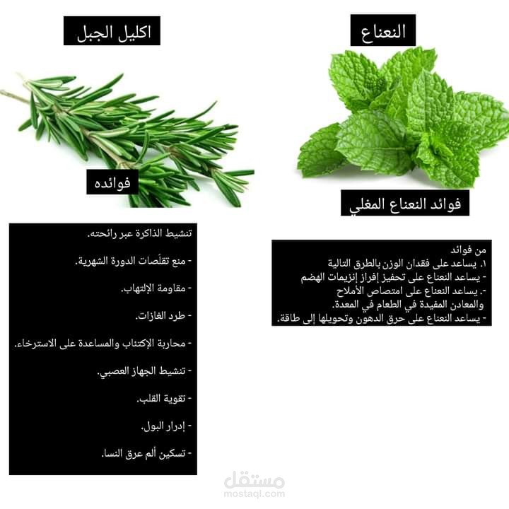 الاهمية الصحية للاعشاب