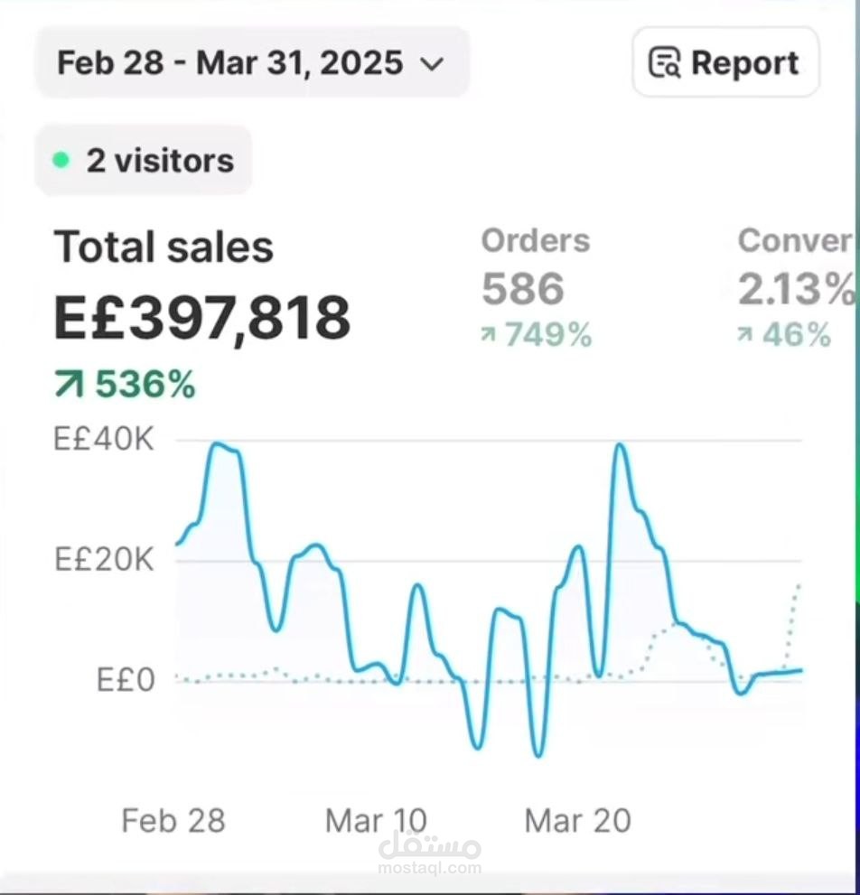 Sales Campaign: 397,000 EGP Revenue – Shopify Store Boosted by 308%