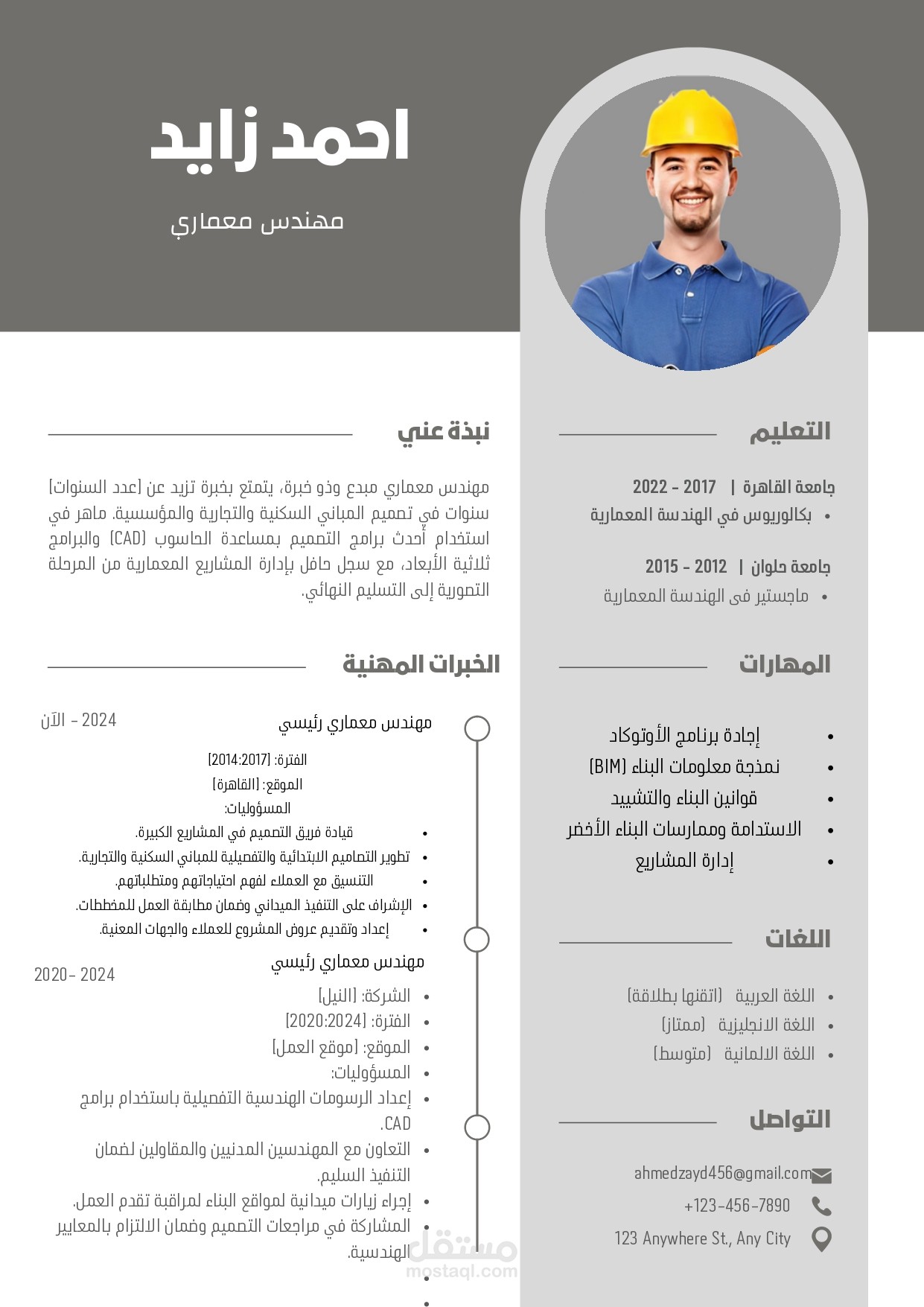سيرة ذاتية احترافية