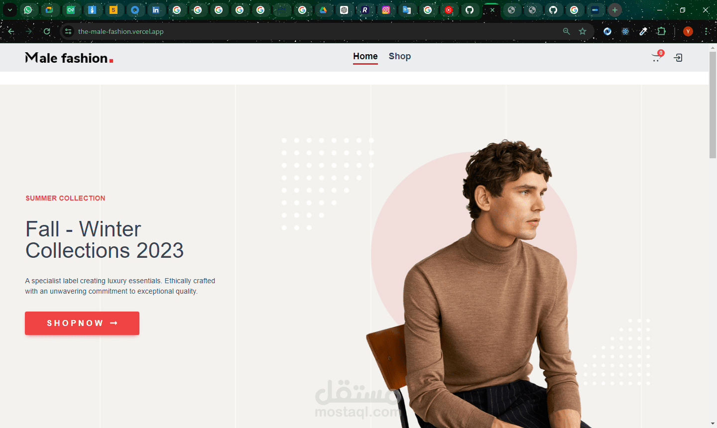 موقع تجاري يحتوي علي dashboard