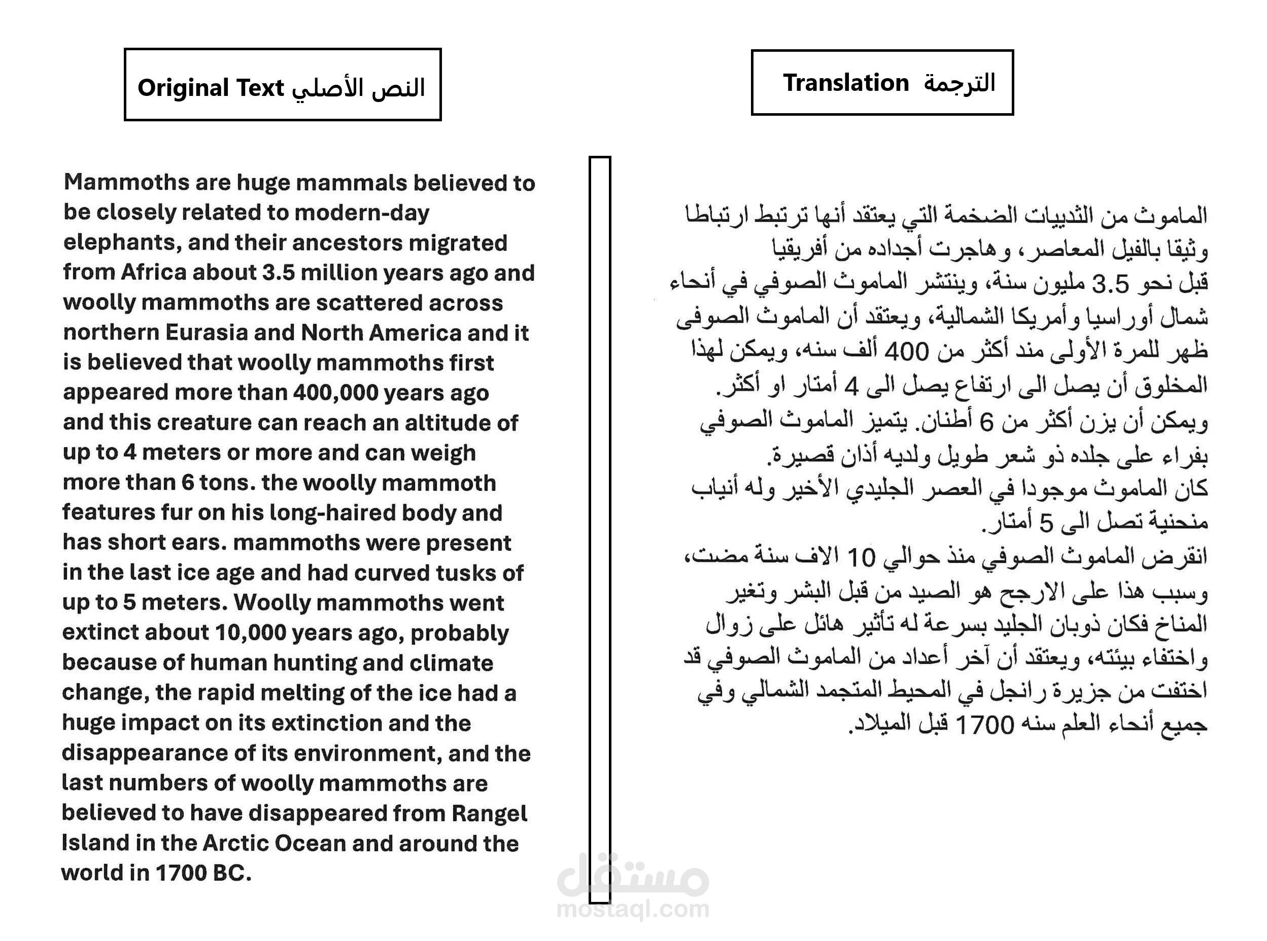 Translation