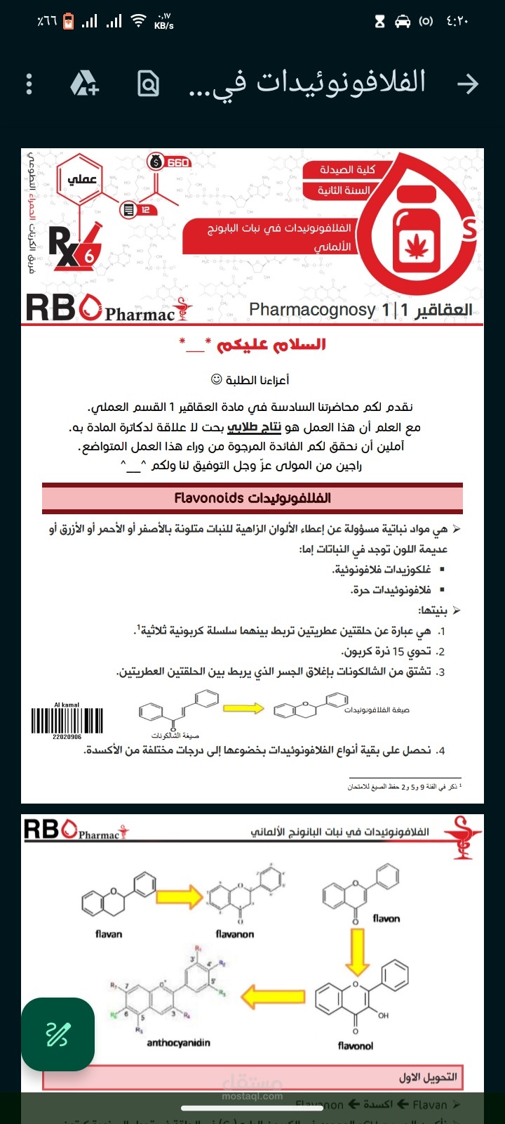 محاضرات فريق تطوعي في جامعات دمشق