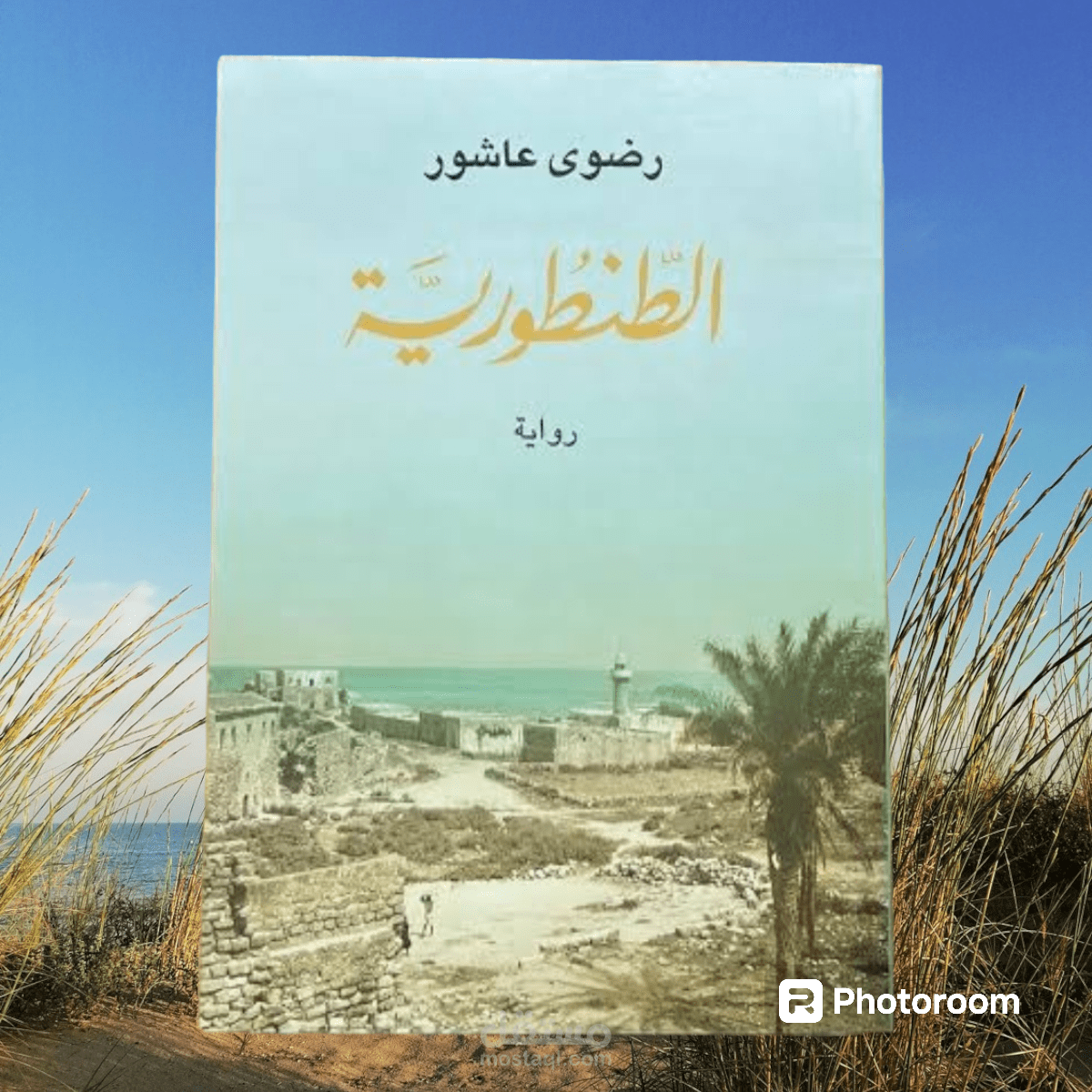 تعليق صوتى لجزء من رواية الطنطورية الجزء الرابع
