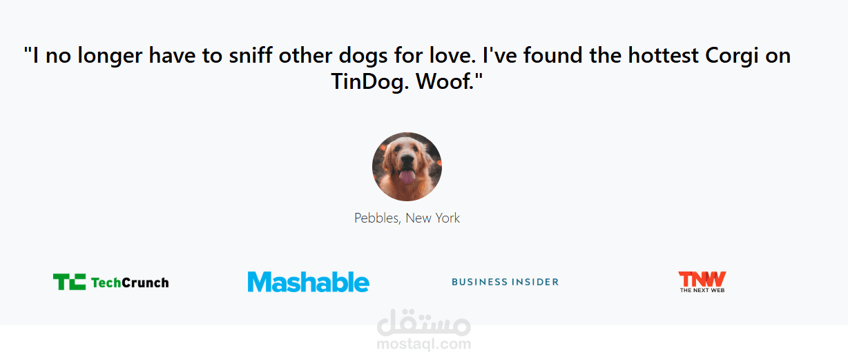 Business Website Design | Responsive Frontend Development