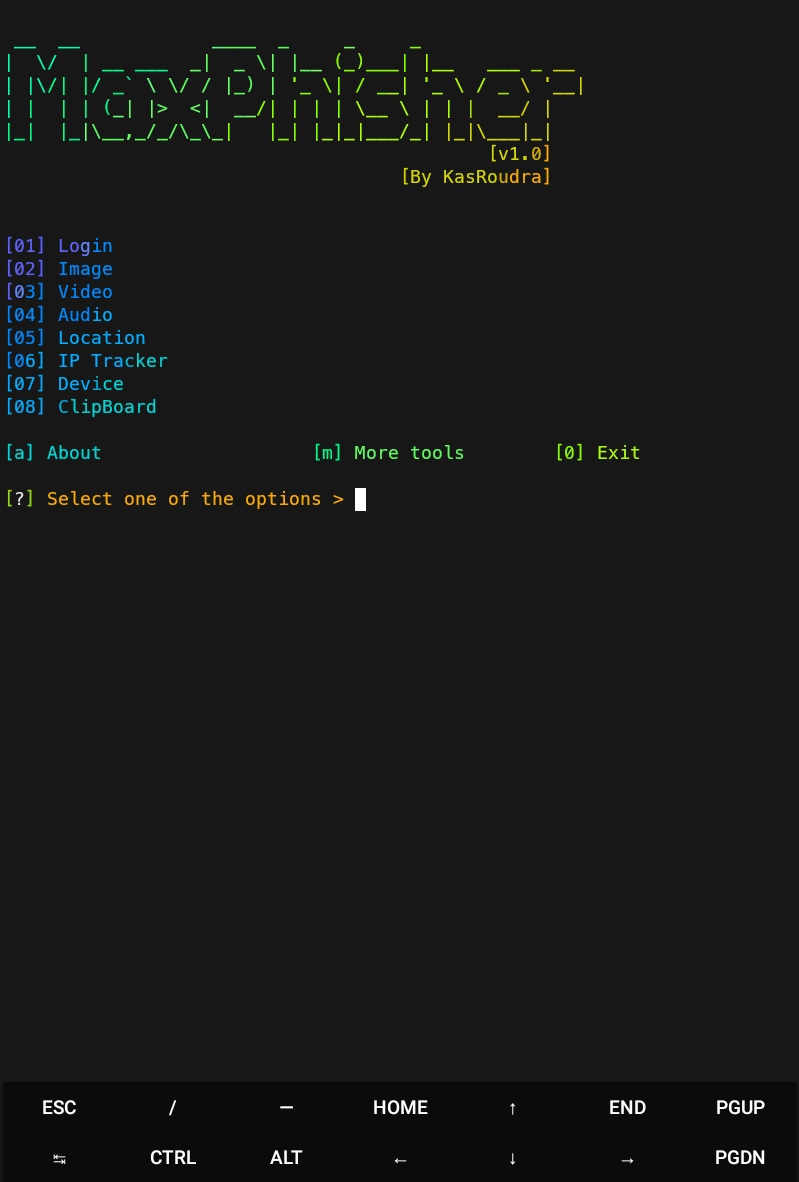 Programmer