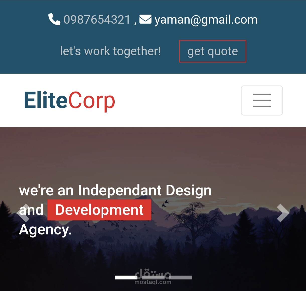 شركة Elitecorp