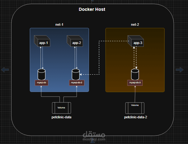 Docker Host Architecture with Isolated Networks and Shared Volumes