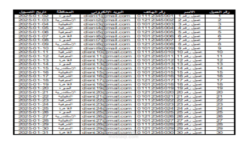 إدخال وتنظيم بيانات عملاء باستخدام Excel