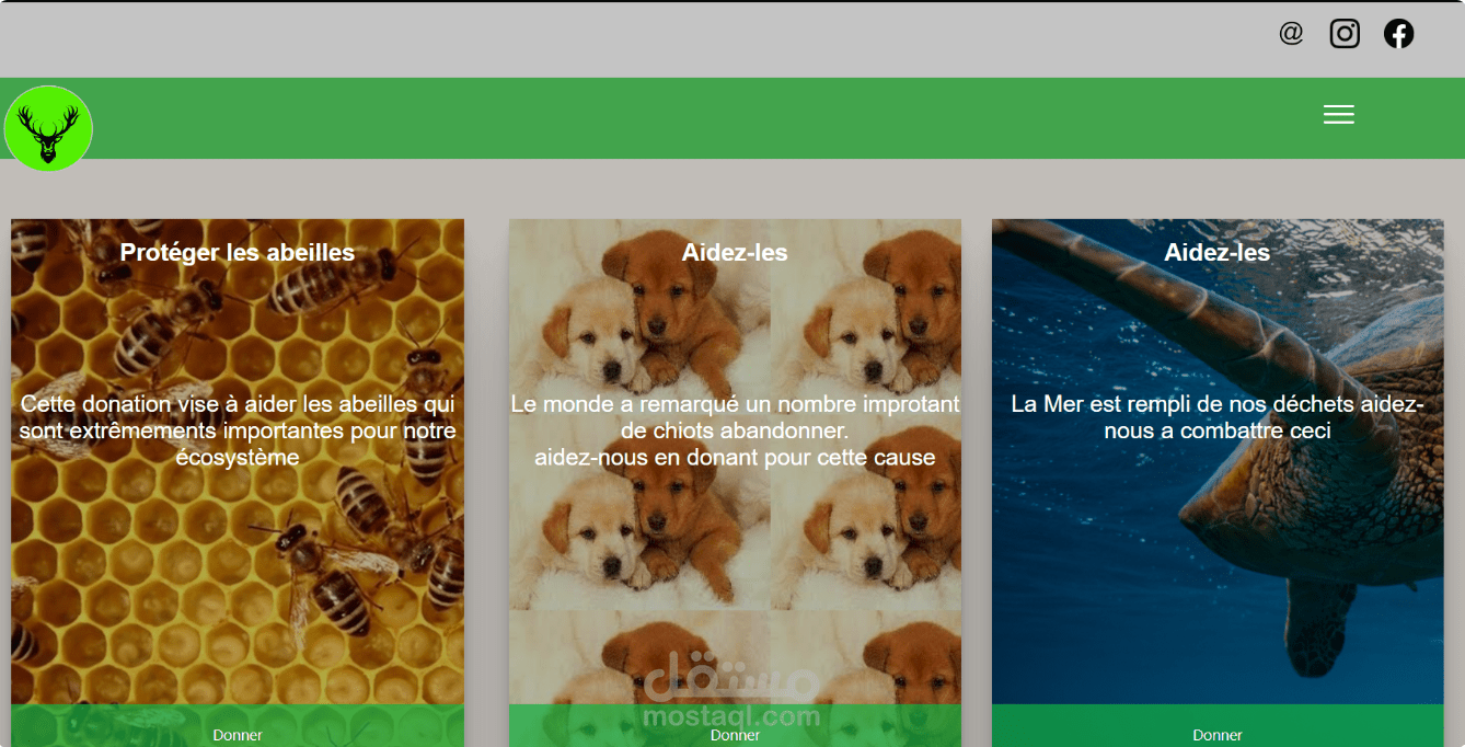 Web Development Project