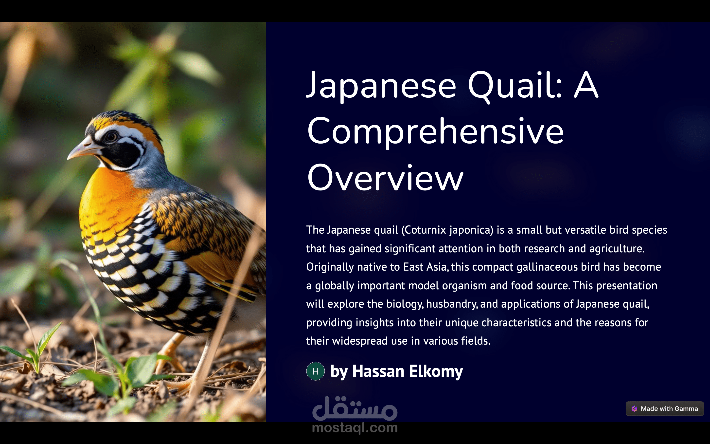 تصميم عرض باوربوينت بطريقة إبداعية