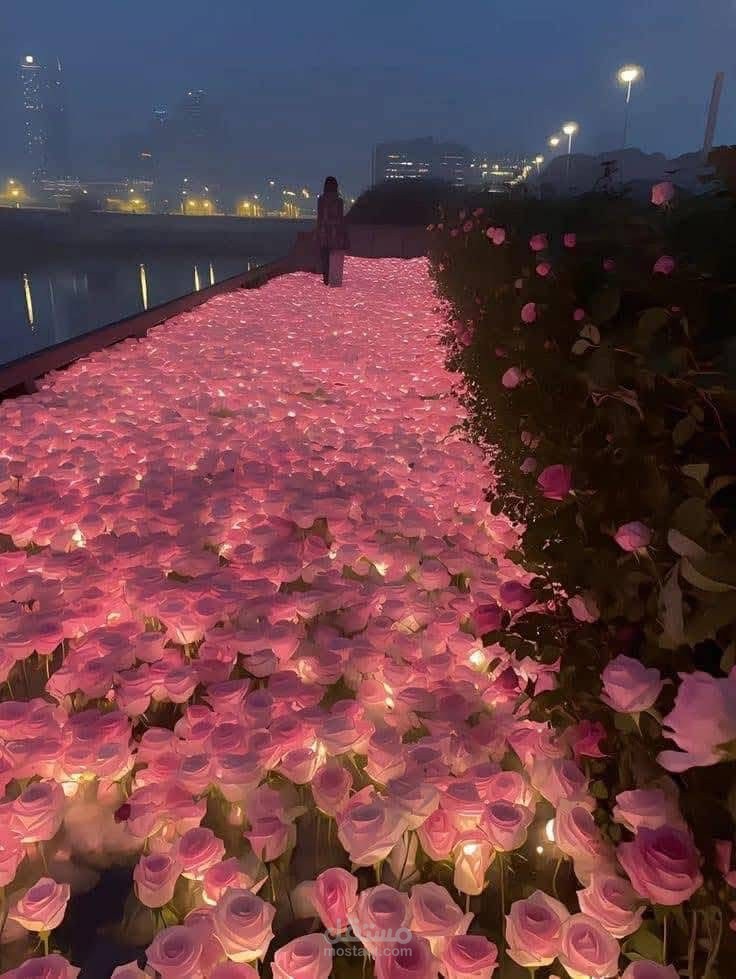 صوت جوا الهدوء