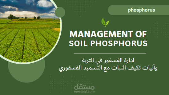 مصمم بوربوينت