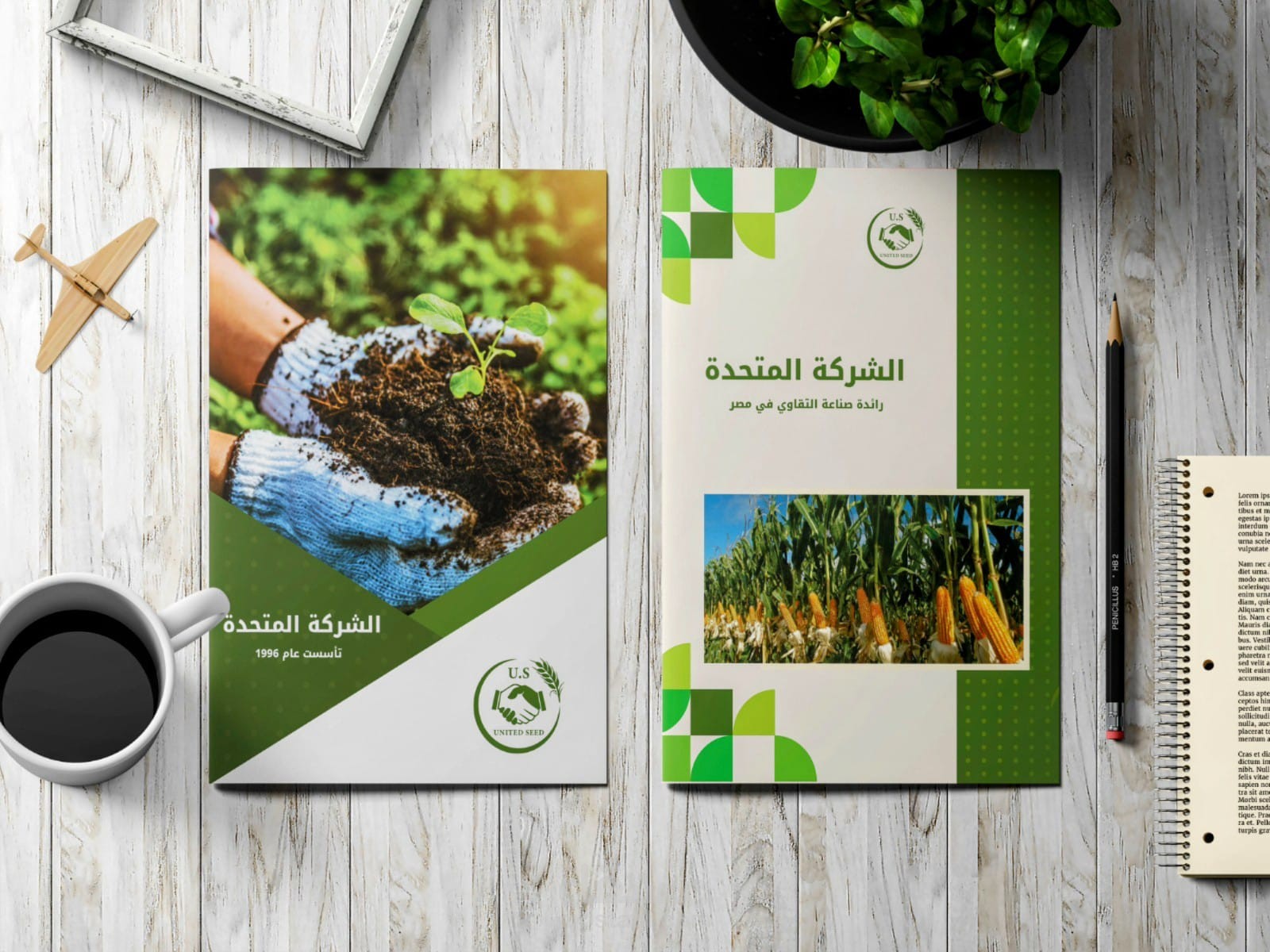 بروفايل شركة ( Company Profile )