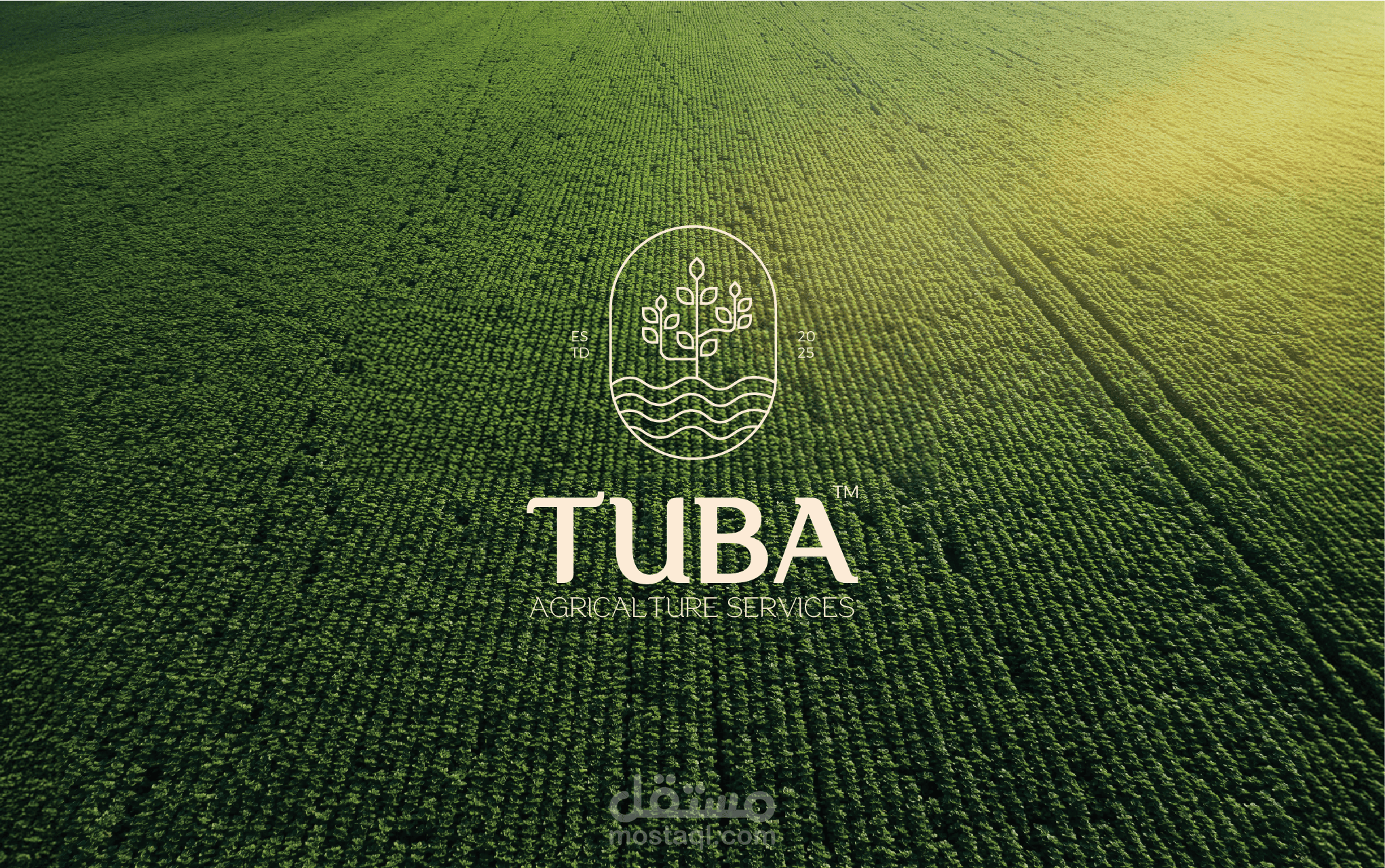 Tuba | Agriculture | Branding
