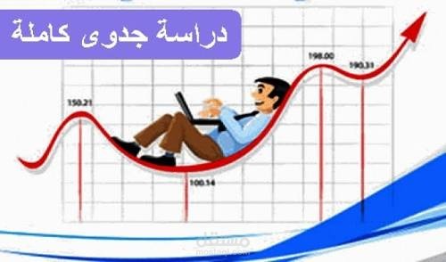 دراسات الجدوي للمشاريع المختلفة بدقة متناهية