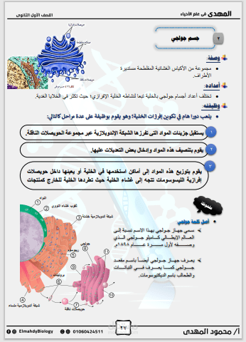 *"خدمات احترافية لكتابة المذكرات والكتب على وورد"*