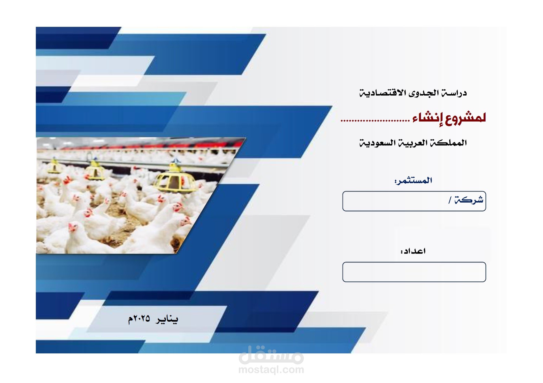 إعداد دراسات جدوى اقتصادية باللغة العربية