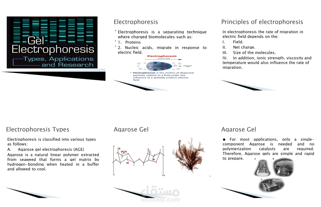 presentation