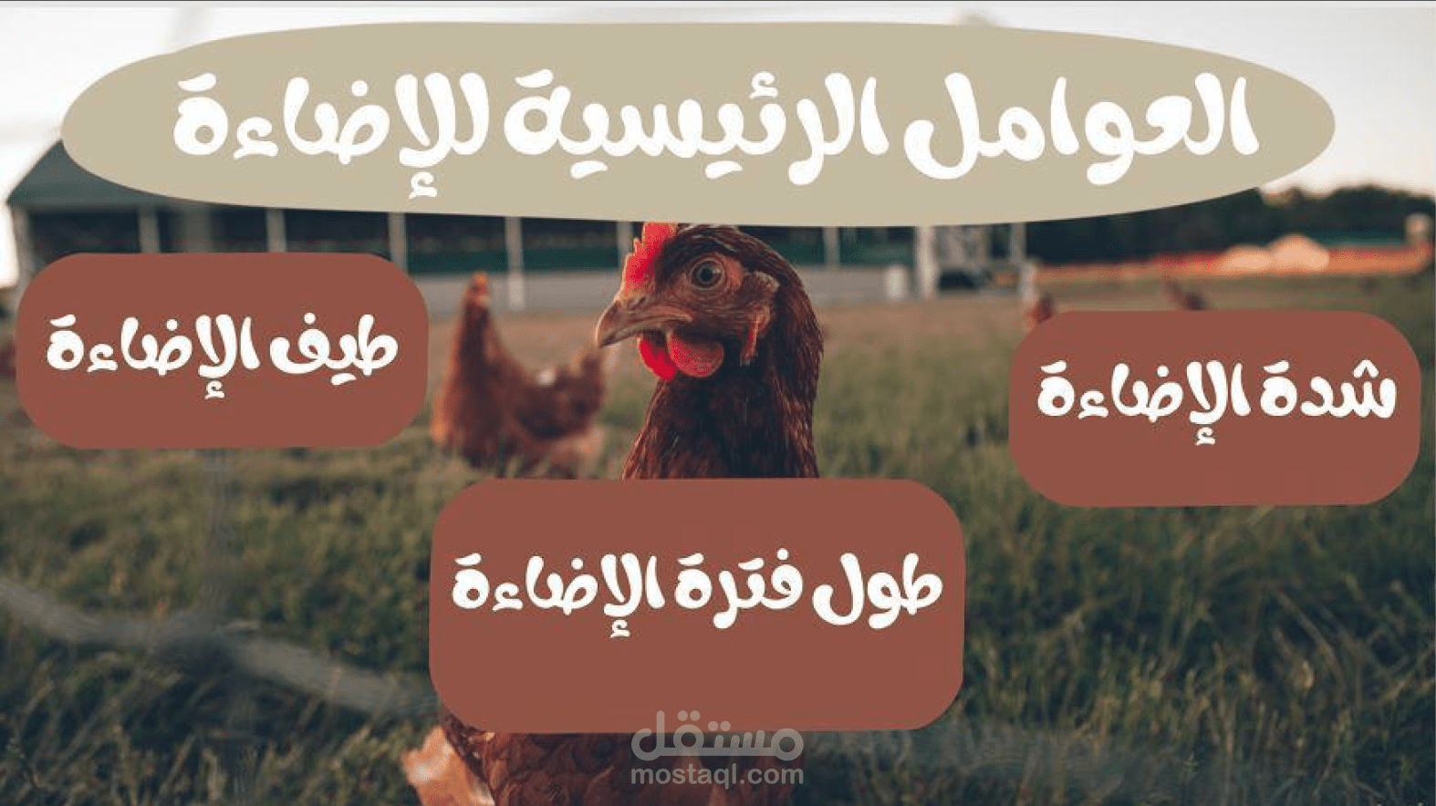 العوامل المؤثرة للأضاءة
