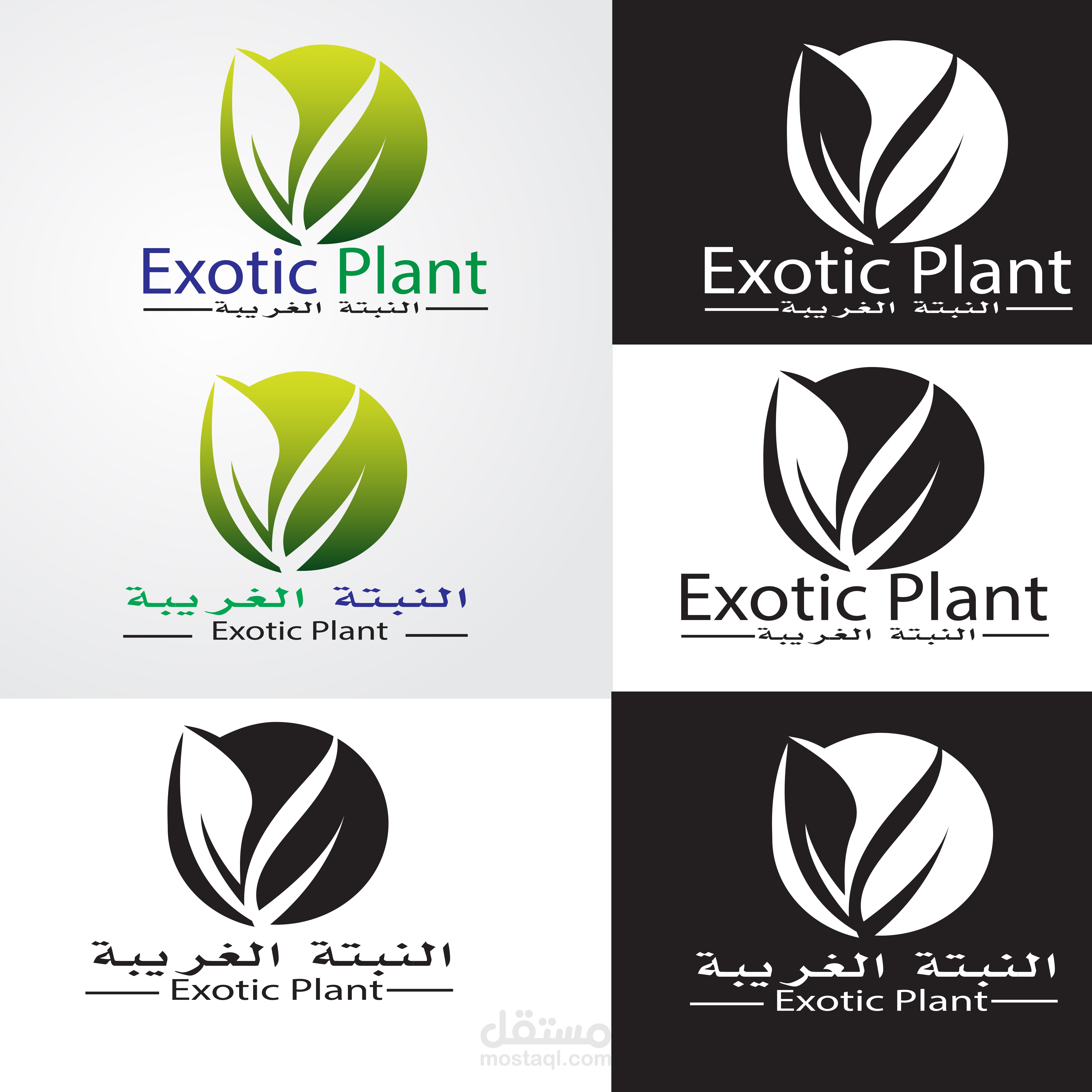 هوية بصرية