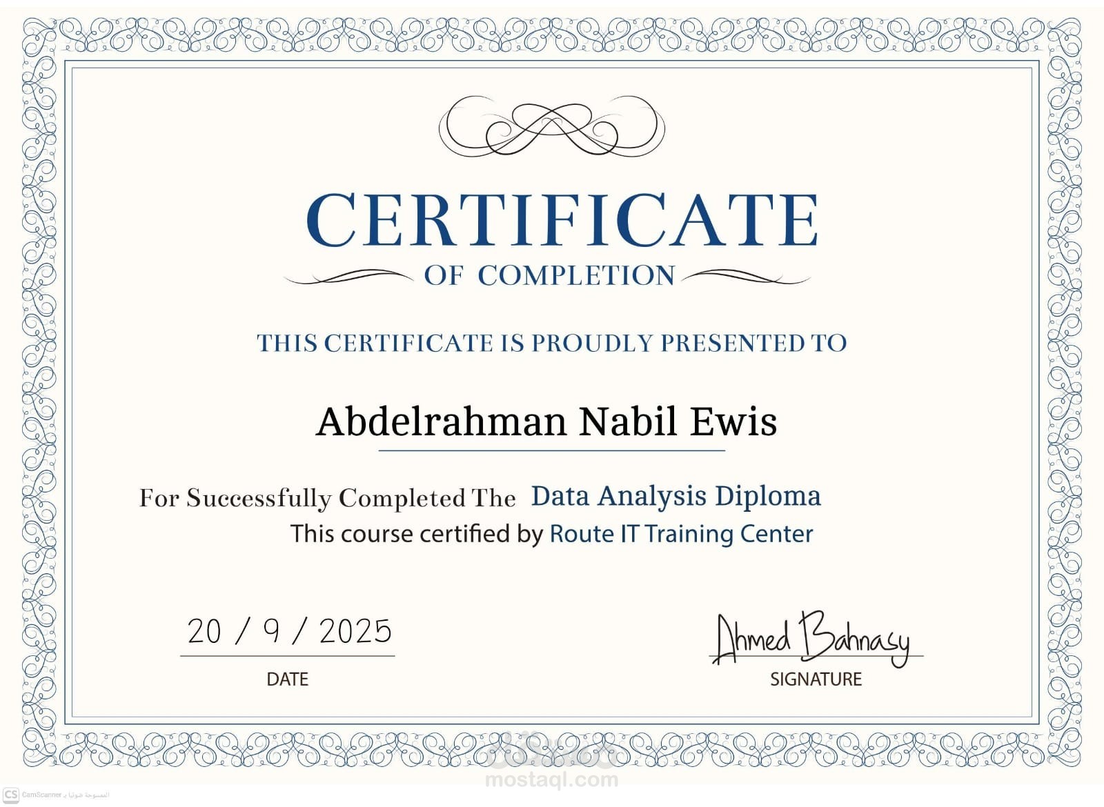 Professional Certificate in Data Analysis