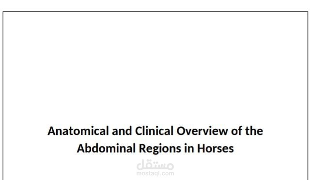 "Anatomical Study of the Abdominal Regions – Academic Research for a Medical Student"