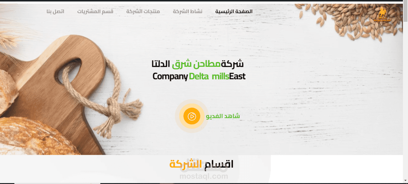 WordPress introductory website