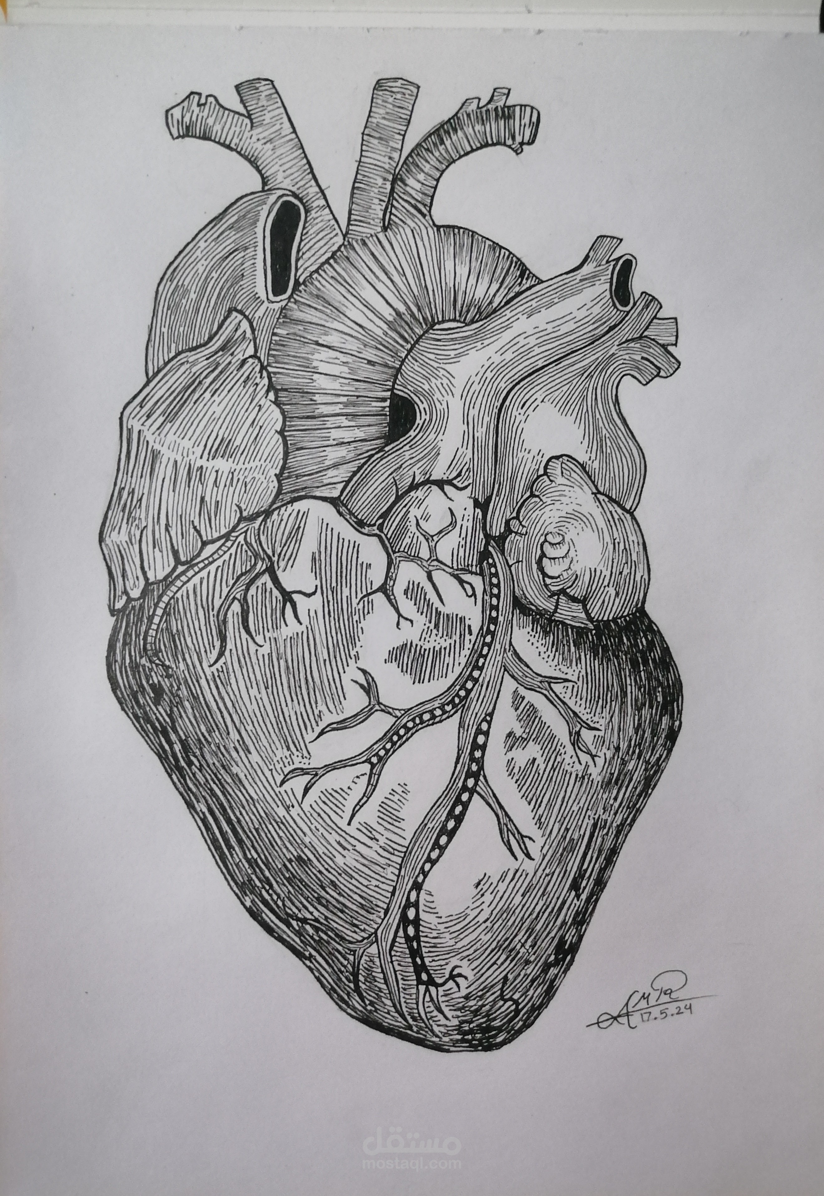 رسمه لقلب الانسان