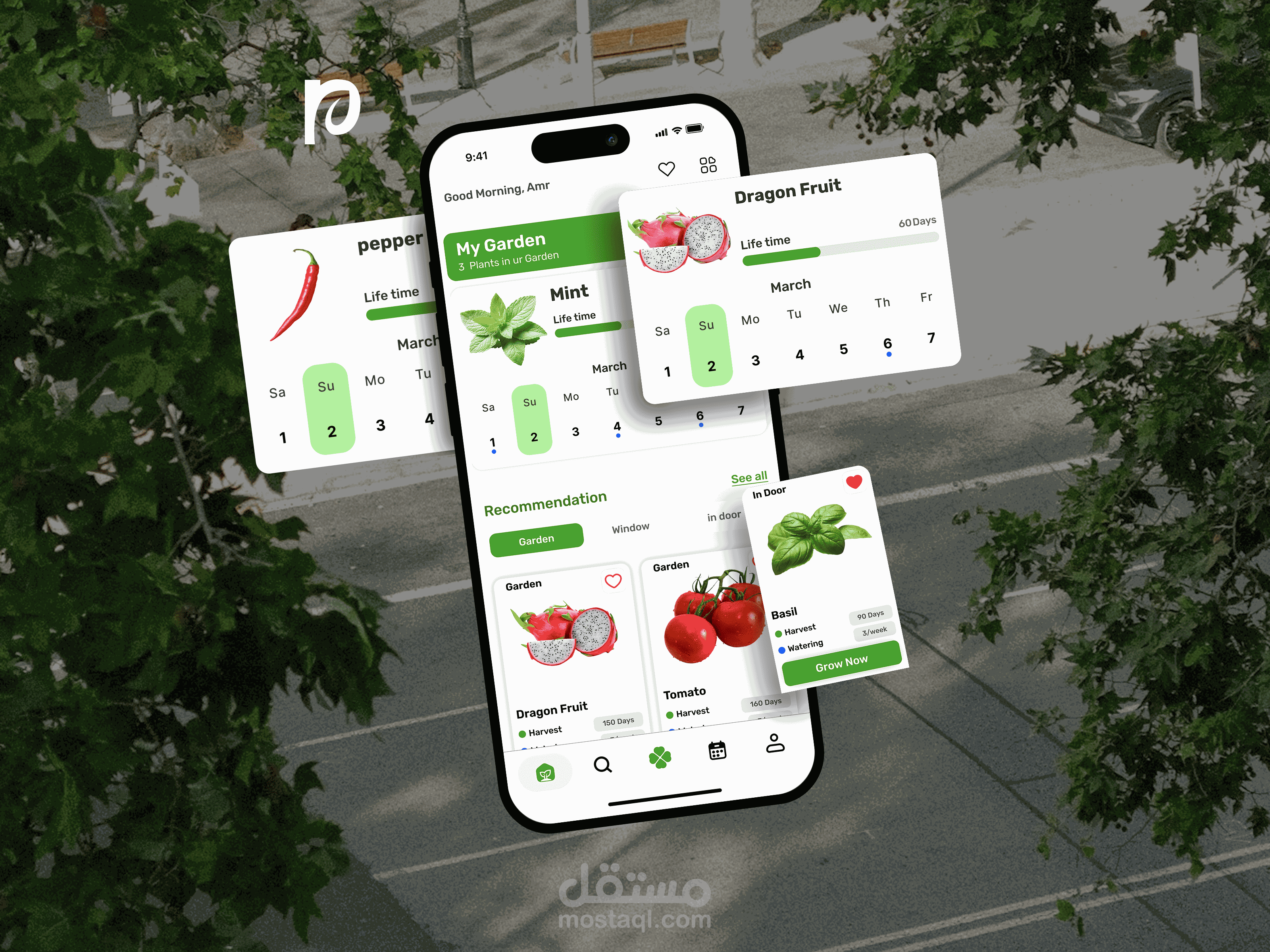 تصميم واجهة وتجربة مستخدم لتطبيق نبتة - لرعاية النباتات