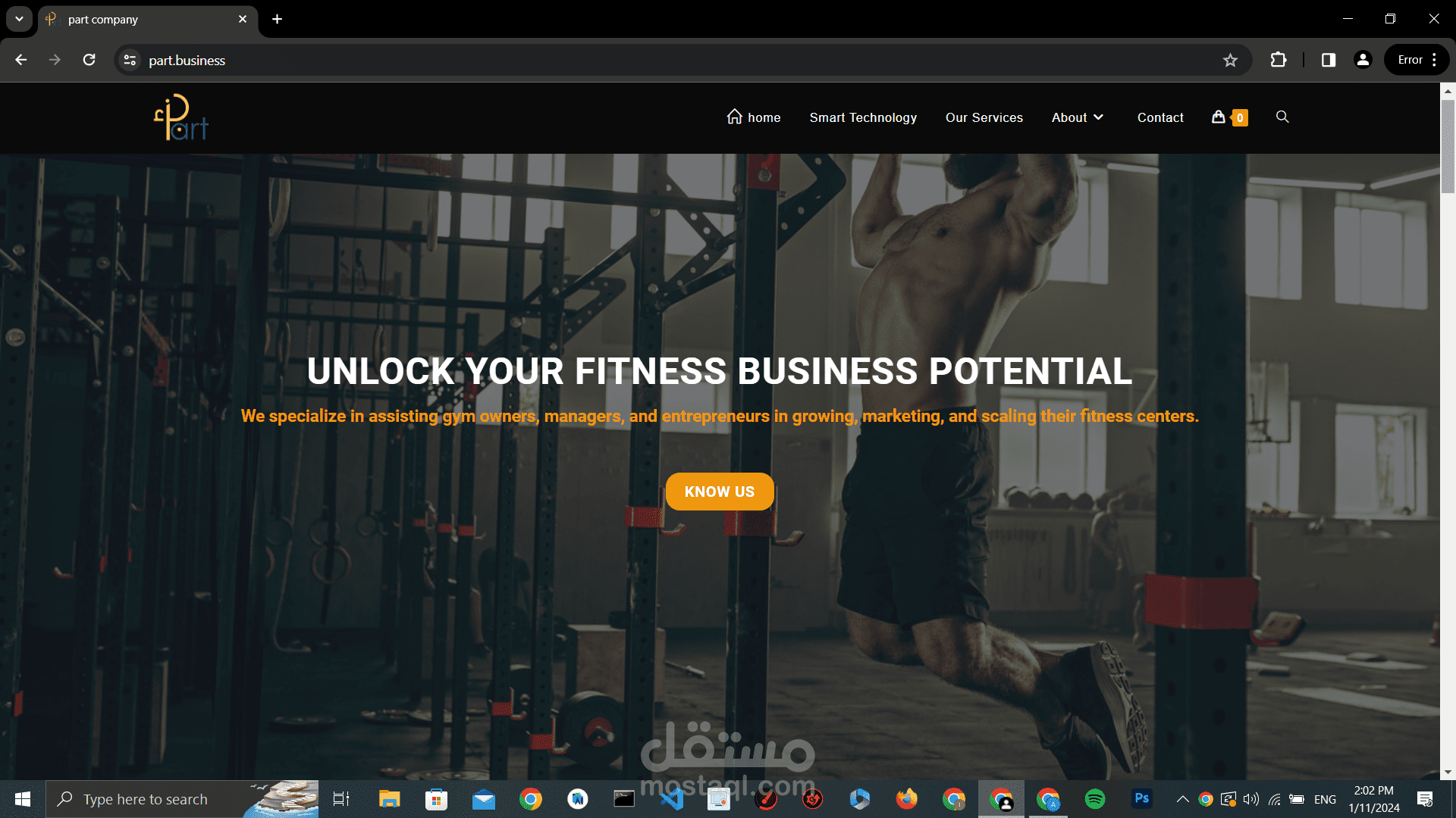 wordpress developer