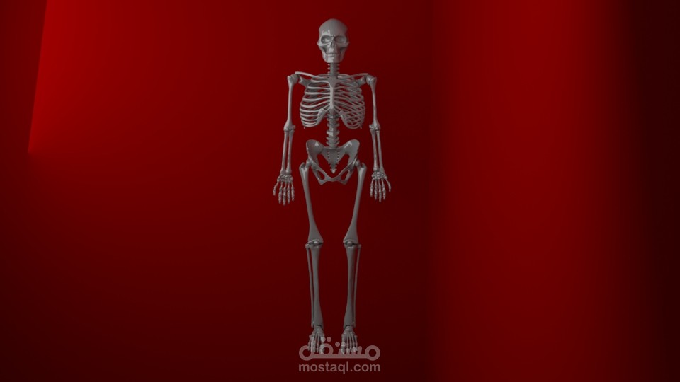 تصميم مجسم هيكل عظمي