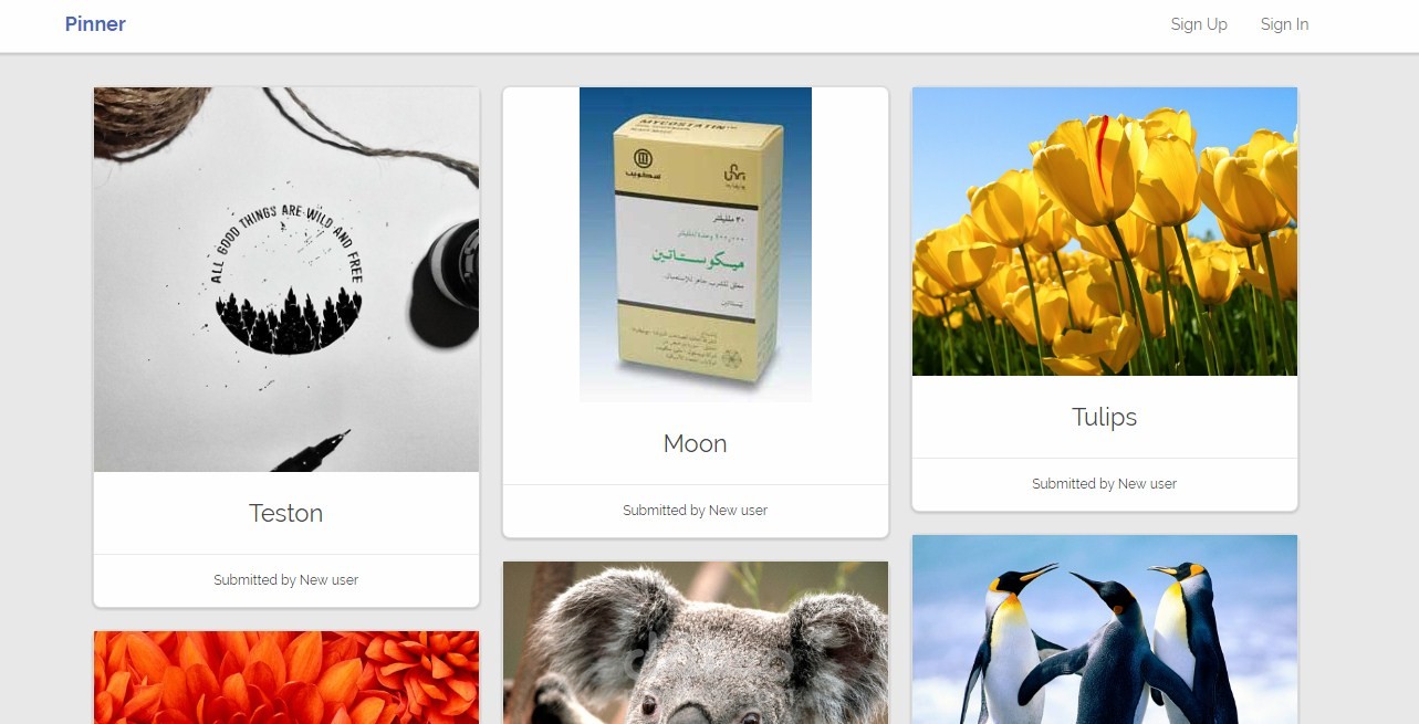 Pinner - Social Image Network