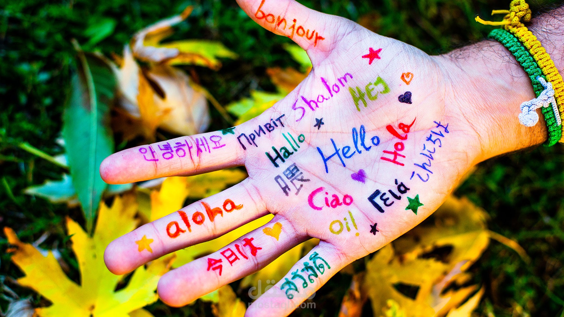 ترجمة من الانجليزية إلى العربية