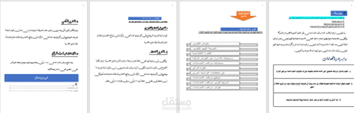 مقال عن دور مراقب الحسابات