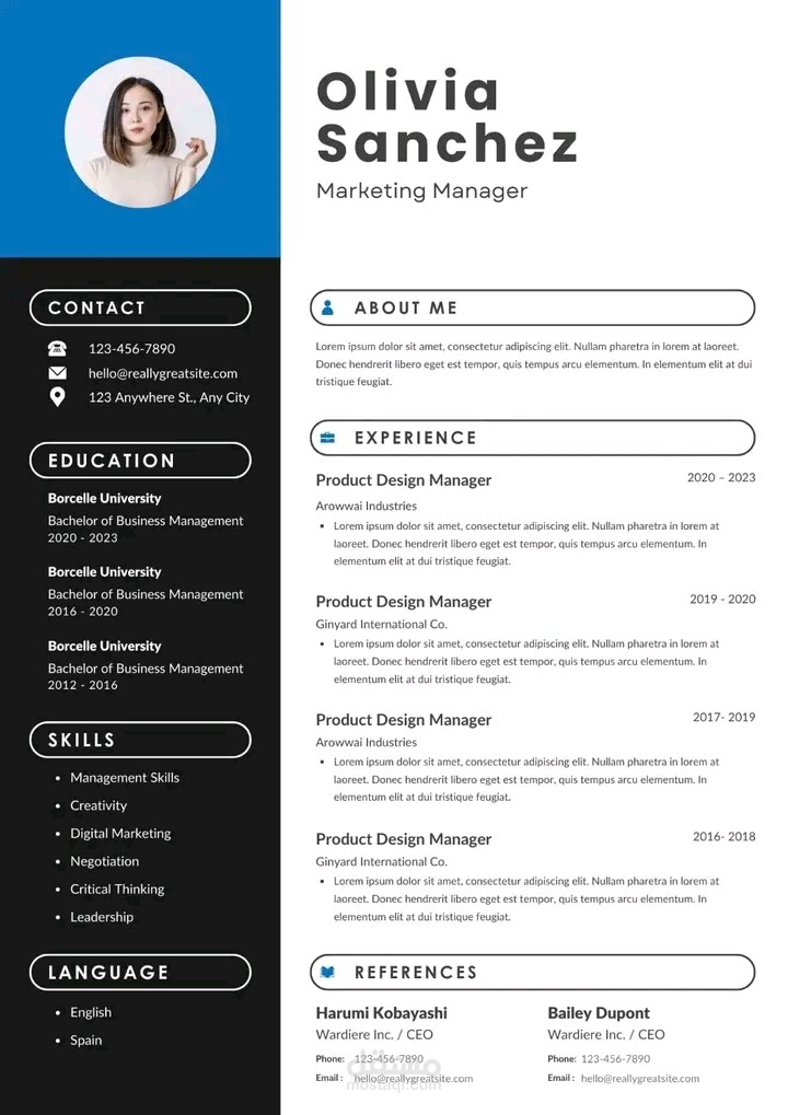 بروفيشنال CV
